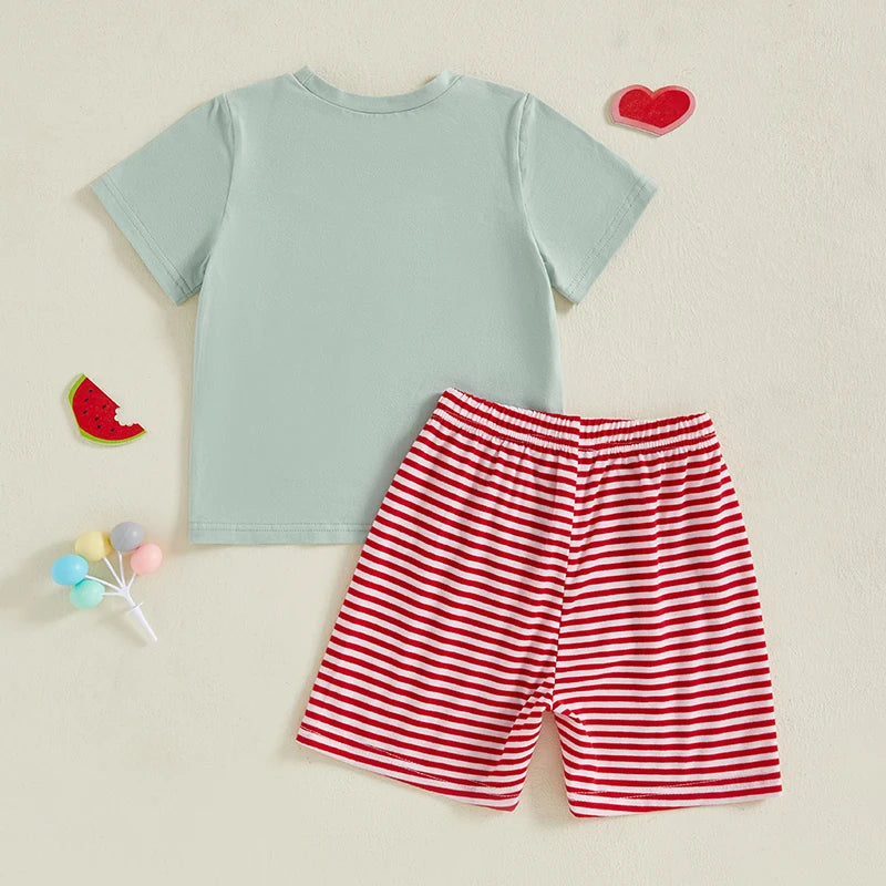 Boys Summer 2-Piece Pineapple Embroidered Outfit